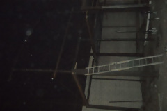 DSCN0448