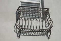 DSCN0460